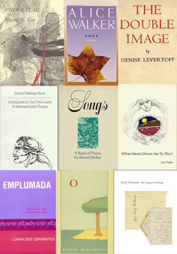 image of debut poetry volumes