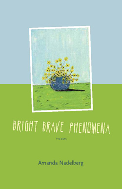 cover of Bright Brave Phenomena