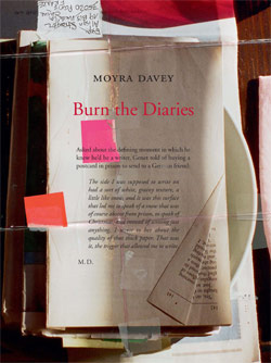 Burn the Diaries