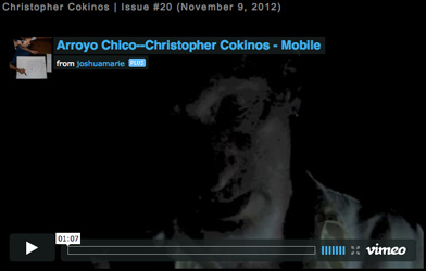 image of Christopher Cokinos