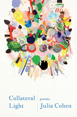 cover of Collateral Light