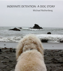 cover of Indefinite Detention