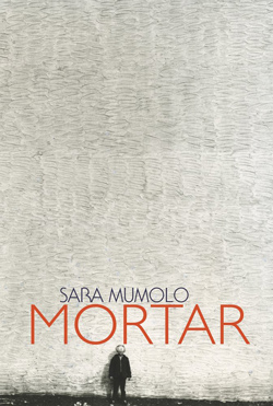 cover of Mortar