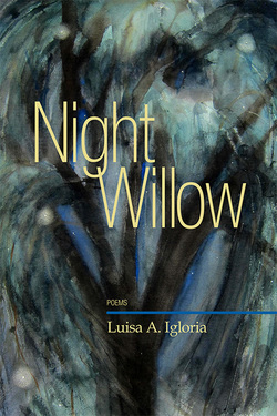 cover of Night Willow