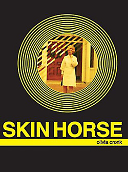 cover of Skin Horse