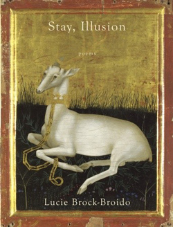 image of Stay, Illusion