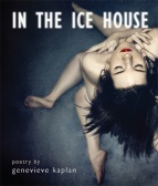 intheicehouse